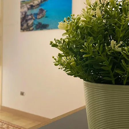 Apartment Bermuda *